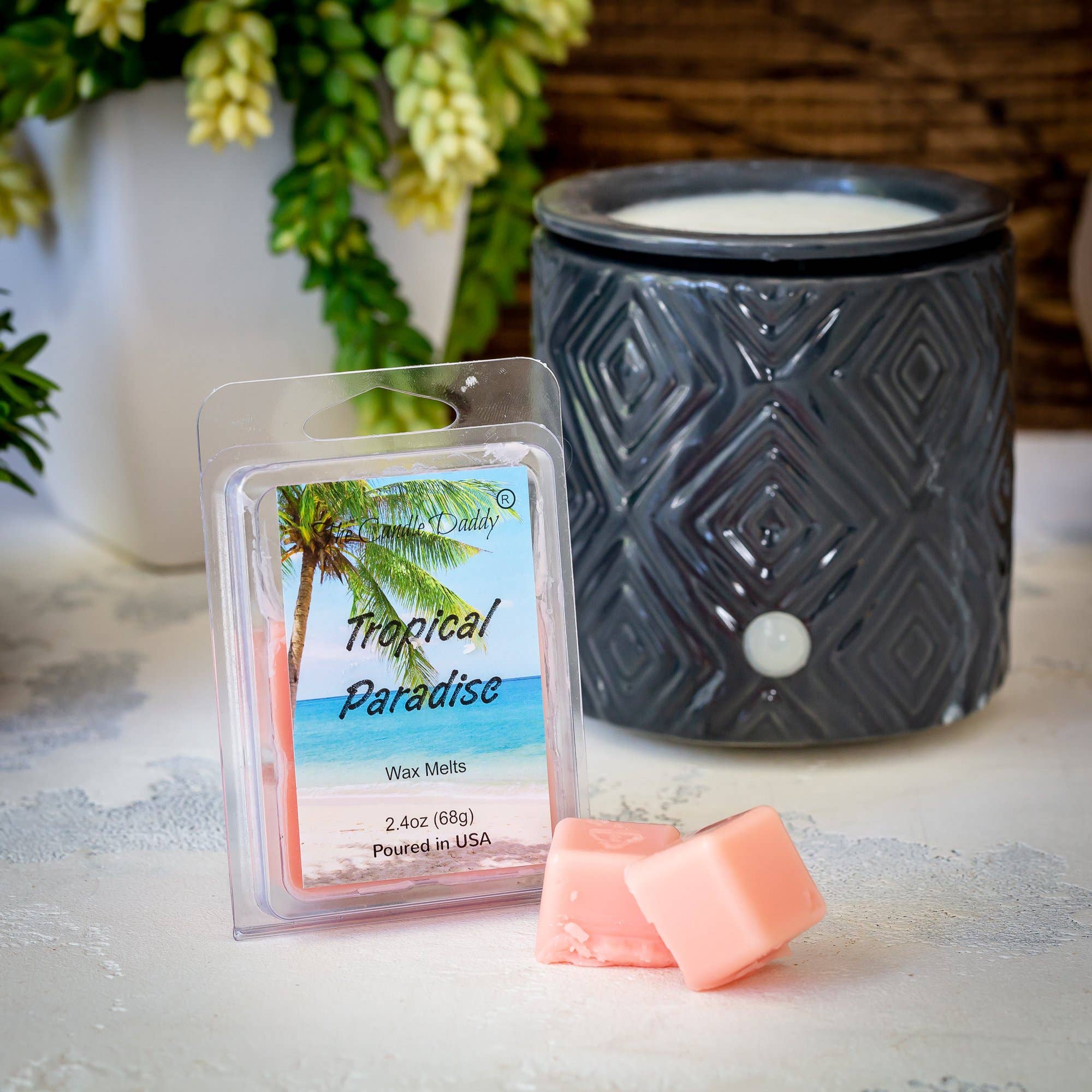 Tropical Paradise- Maximum Scent Wax Cubes/Melts- 1 Pack -2: 1 Pack of Wax Melts